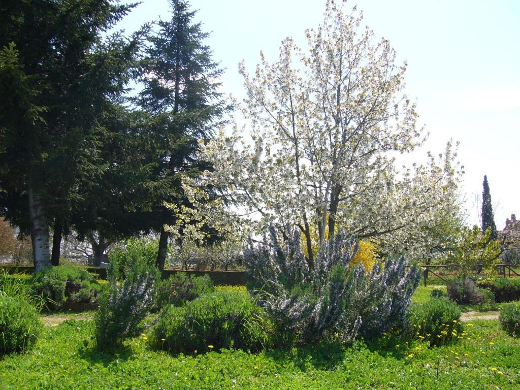 Agriturismo San Giacomo Pitigliano Exterior foto
