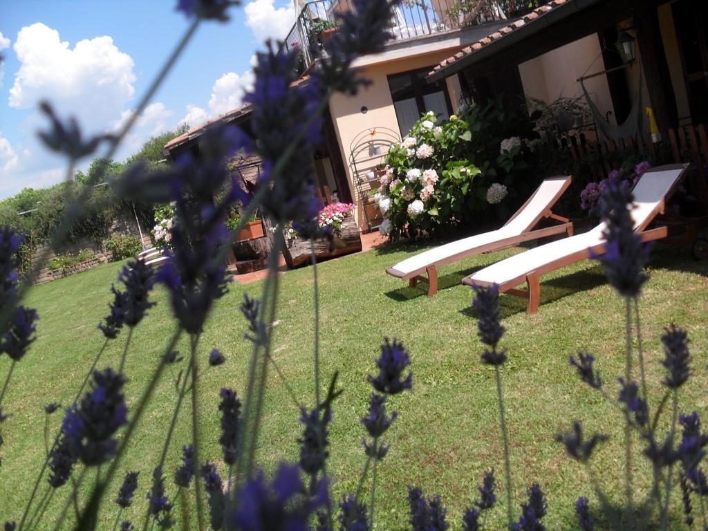 Agriturismo San Giacomo Pitigliano Zimmer foto