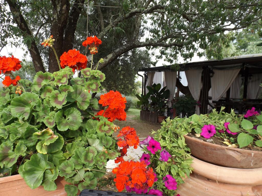 Agriturismo San Giacomo Pitigliano Zimmer foto